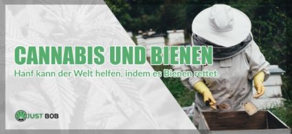 Cannabis und bienen