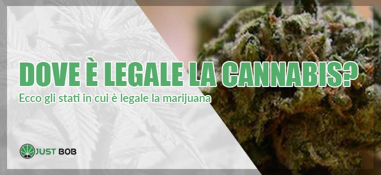 Dove è legale la Cannabis light?