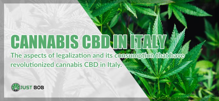 Cannabis CBD