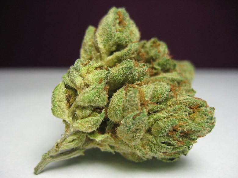 Characteristics of Kush marijuana