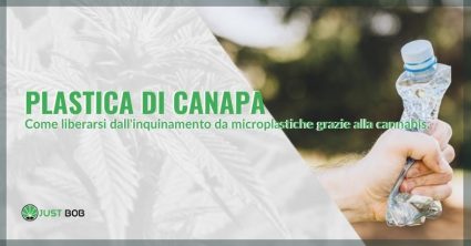 Plastica di canapa contro l'inquinamento