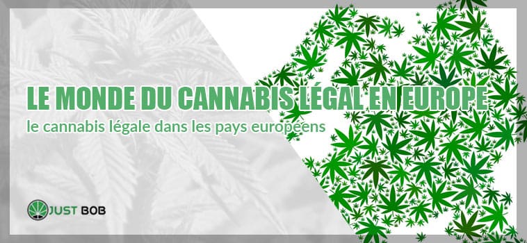 Le monde du cannabis légal en Europe