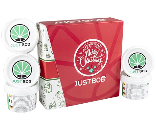 CBD Bluten Cannabis Xmas Gold sorten