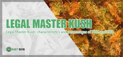 Cbd Master Kush