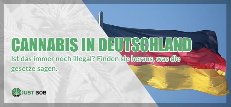 Kauf und Lieferung von Cannabis in Deutschland