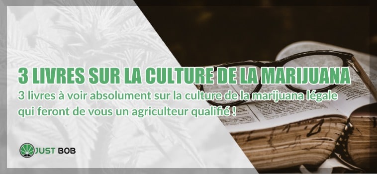 Marijuana et sa culture