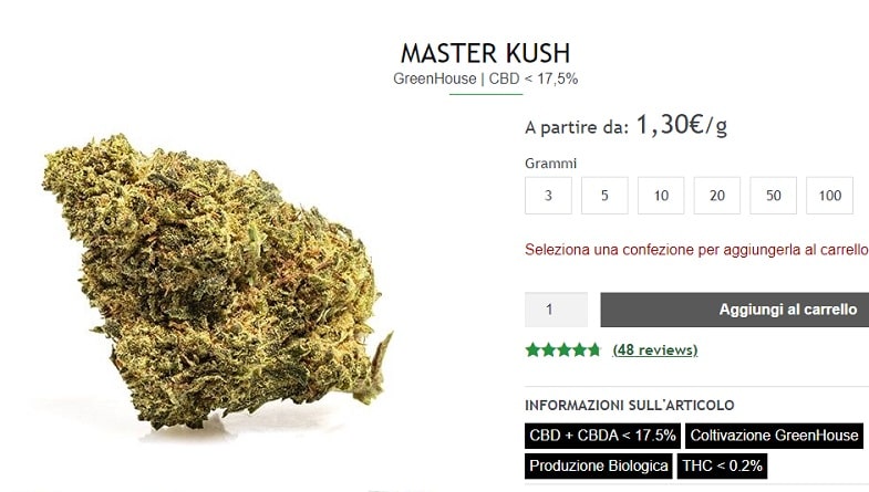 La Master Kush nel 2023