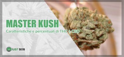 L'erba legale Master Kush