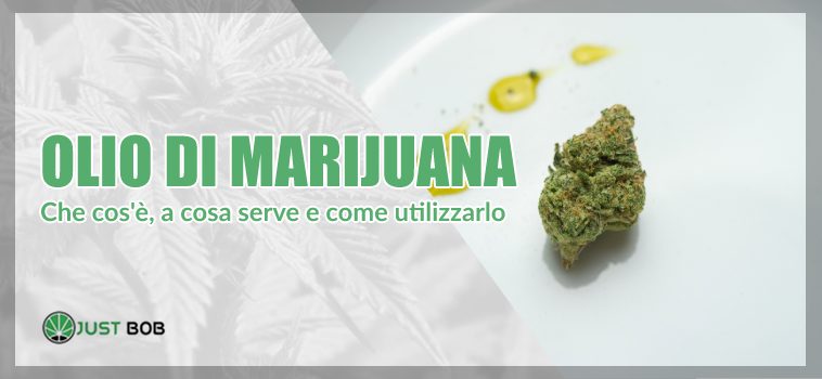 Olio di marijuana: che cos’è e a cosa serve