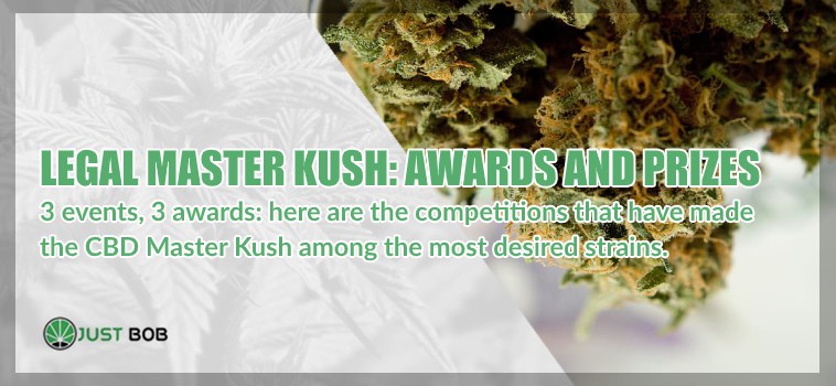 Legal Master Kush: awards and prizes.