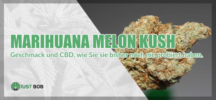 Marihuana CBD Melon Kush