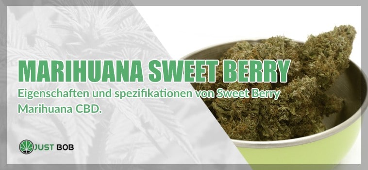 Cannabis CBD Sweet Berry