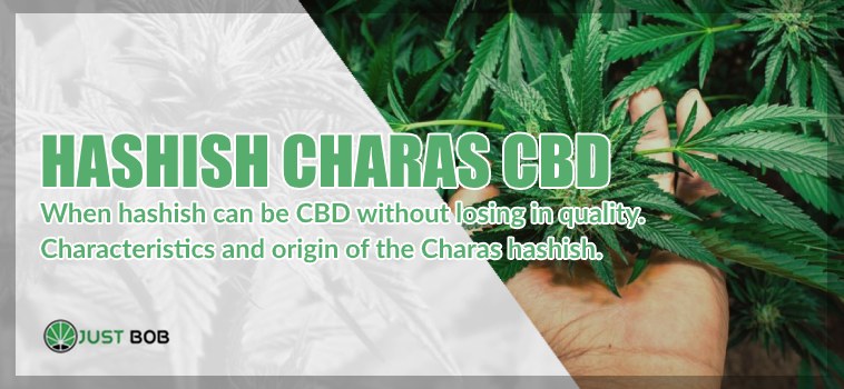 CBD Hashish Charas