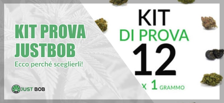 Marijuana CBD & Qualità