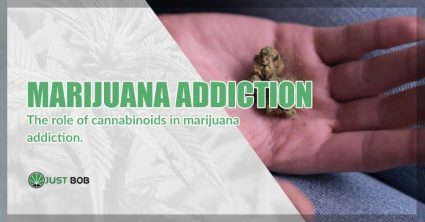 Marijuana addiction: CB1 and CB2