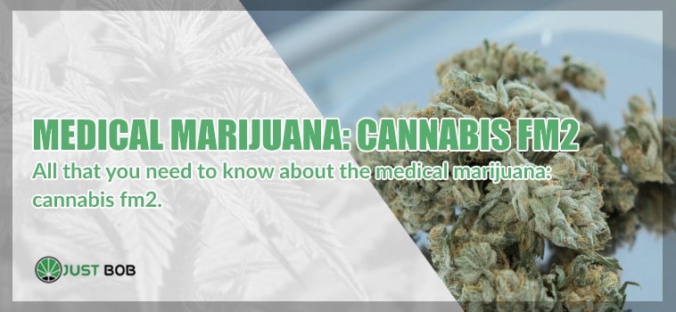 Medical marijuana: cannabis FM2