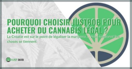 Acheter CBD de Justbob