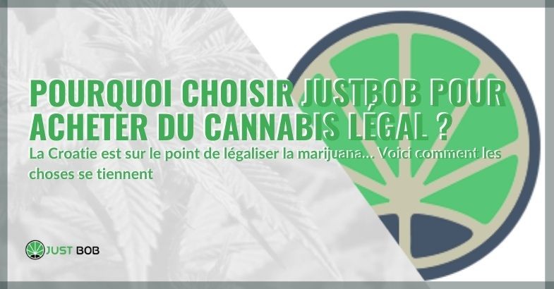 Acheter CBD de Justbob