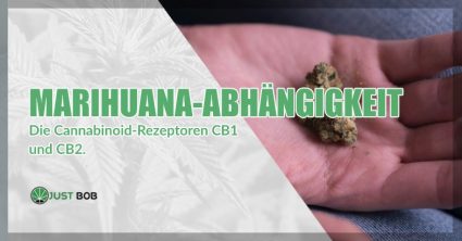 die Cannabinoid-Rezeptoren CB1 und CB2