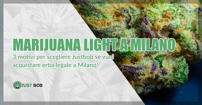 Marijuana light a Milano? 3 motivi per scegliere Justbob!