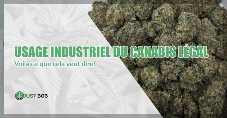 Usage industriel du cannabis CBD