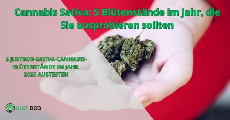 Cannabis Sativa: 5 Blütenstände im Jahr, die Sie ausprobieren sollten