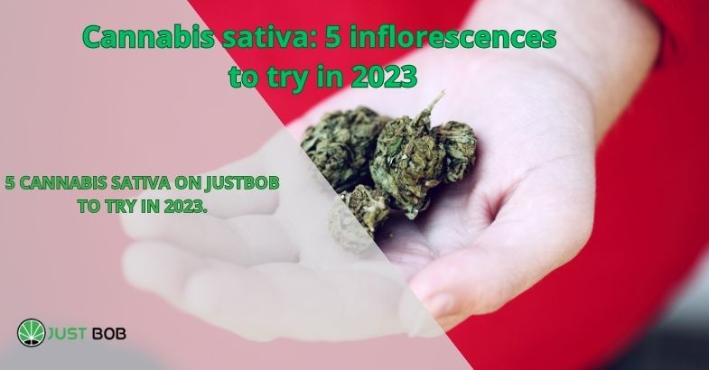5 CANNABIS SATIVA ON JUSTBOB TO TRY IN 2023.
