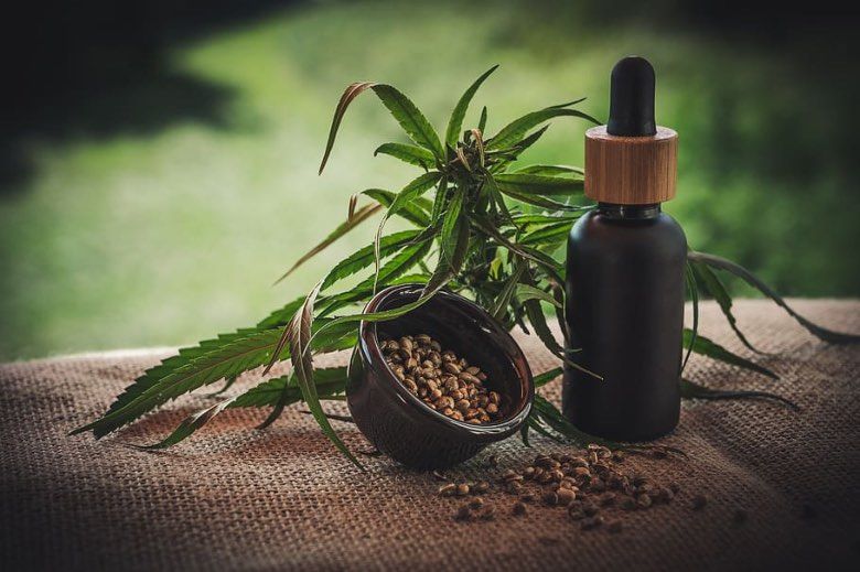 Marihuana-Pflanze – Weiter CBD Cannabis züchten