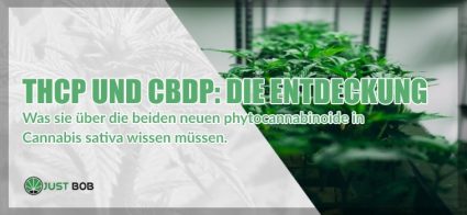 THCP und CBDP