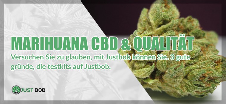 Marihuana CBD & Qualität