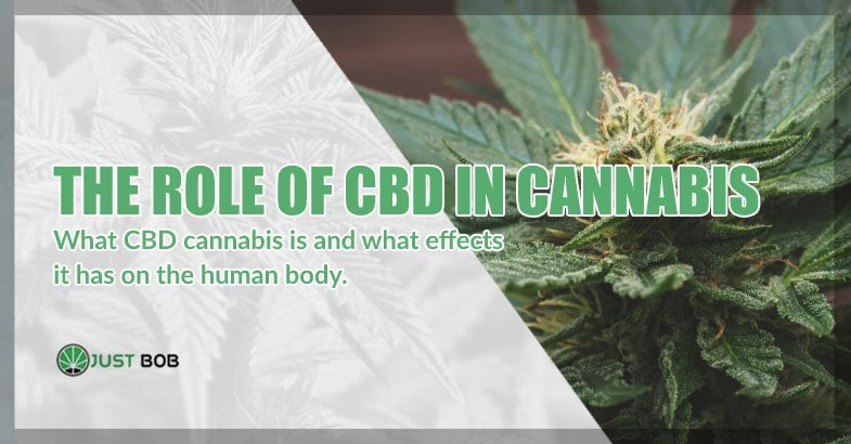 CBD and marijuana: the role of CBD