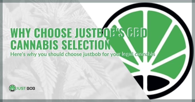 Choosing CBD weed of Justbob