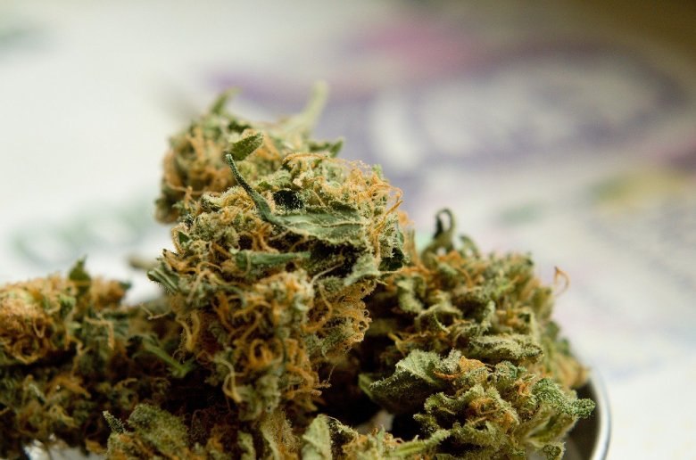 CBD e metabolismo: sfruttare l’olio CBD