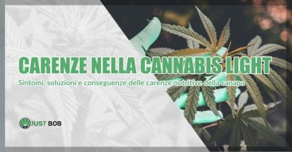 Cannabis legale e carenze