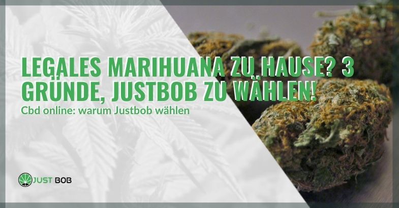 Legales Marihuana zu Hause? 3 Gründe