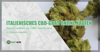 Legales Marihuana: Drei Gründe