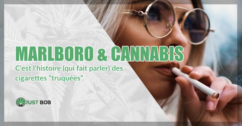 Marlboro & Cannabis : c’est l’histoire