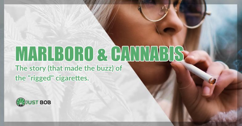 Marlboro & Cannabis: the story