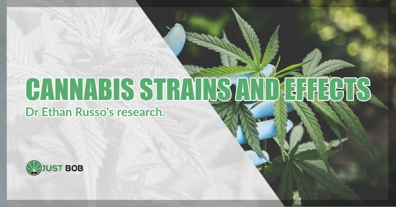 Cannabis strains and effects