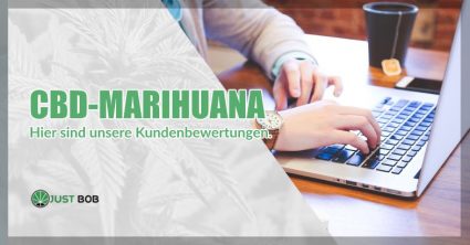 CBD-Marihuana: Hier sind unsere Kundenbewertungen