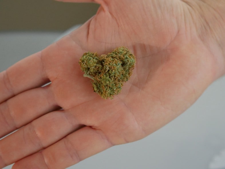 JustBob: legales Cannabis von höchster Qualität
