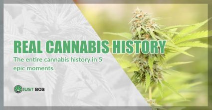 Cbd cannabis and marijuana history