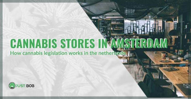 Cannabis stores in Amsterdam