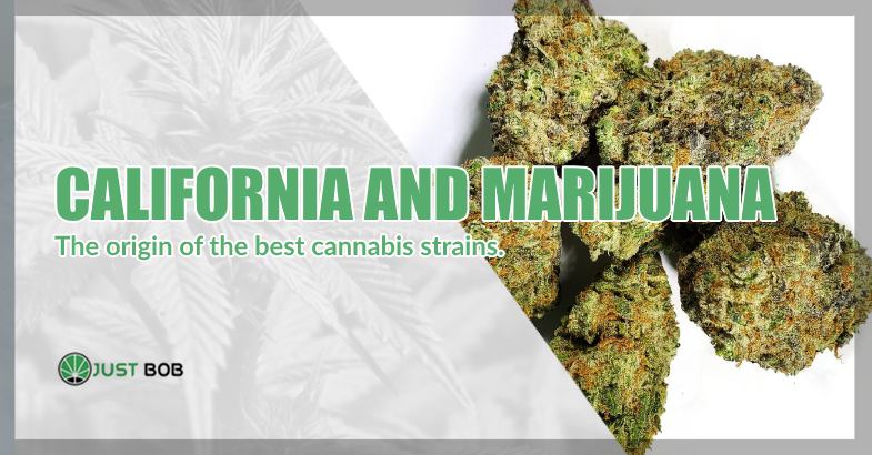 California & Marijuana: the origin
