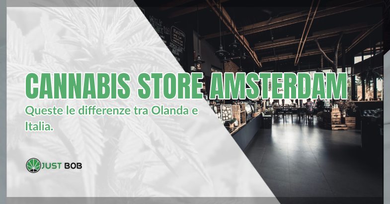 Cannabis Store Amsterdam: queste le differenze