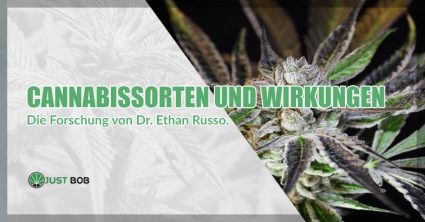 Cannabissorten und CBD Wirkungen