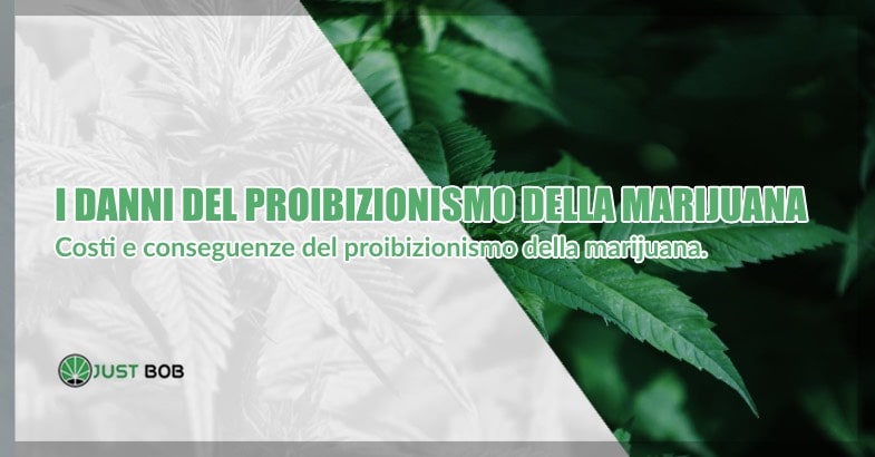 I danni del proibizionismo sul cannabis