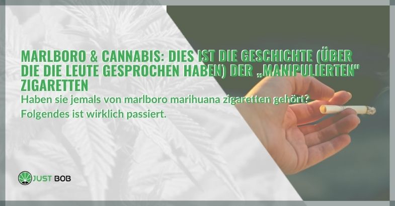 Marlboro & Cannabis: Dies ist die Geschichte