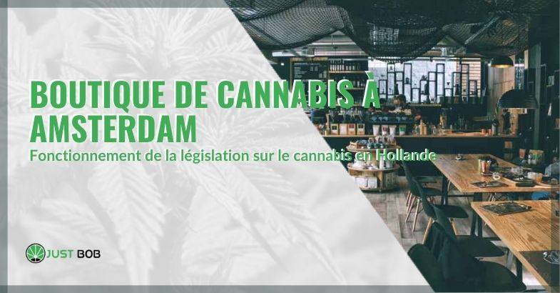 Boutique de cannabis à Amsterdam