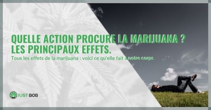 Quelle action procure la marijuana ?